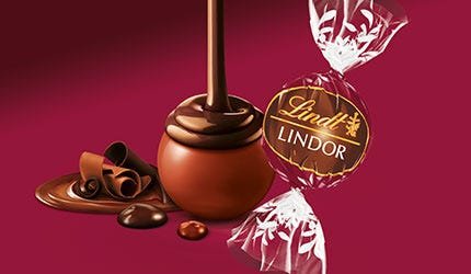 BOULES LINDOR DOPPIO CIOCCO (80)