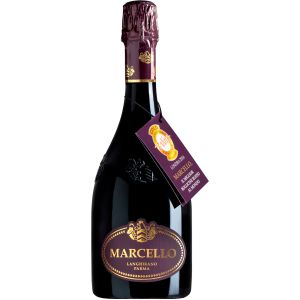 ARIOLA MARCELLO LAMBRUSCO GRAN CRU DRY IGP 75CL