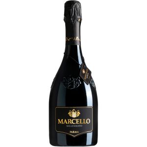 ARIOLA MARCELLO LAMBRUSCO MILLESIMATO IGP 75CL