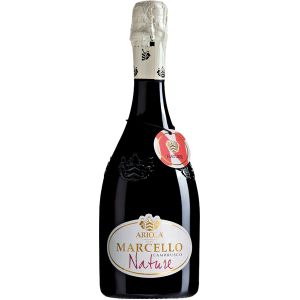 ARIOLA MARCELLO LAMBRUSCO NATURE IGP 75CL