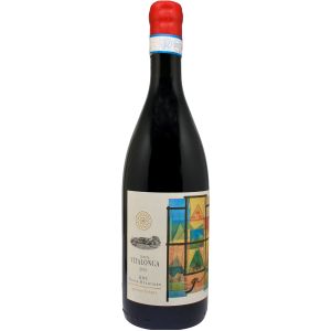TENUTA VITALONGA ORVIETANO ROSSO BIO DOC 75 CL   6 Pezzi