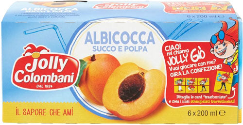 24X SUCCO ALBICOCCA 20 Cl TETRABRICK