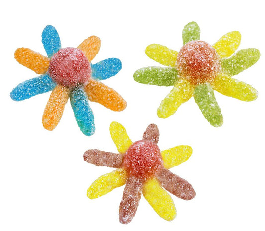 POLIPO SOUR (165) JAKE