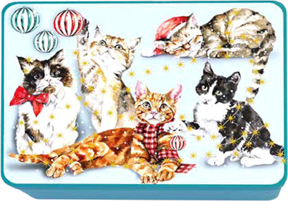 BISCOTTI LATTA GATTI G300 PREMIERES