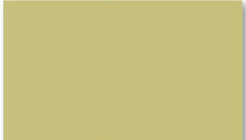 1 x SANICART TOVAGLIETTE CARTA COLOR PAGLIA 500 pz